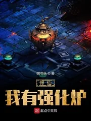 《修仙我有强化炉》封面