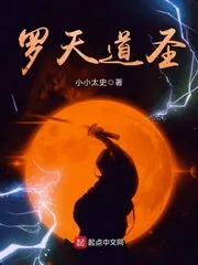 《罗天道圣》封面