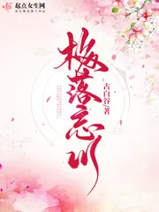 《梅落忘川》封面