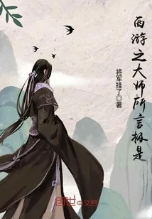 《西游之大师所言极是》封面