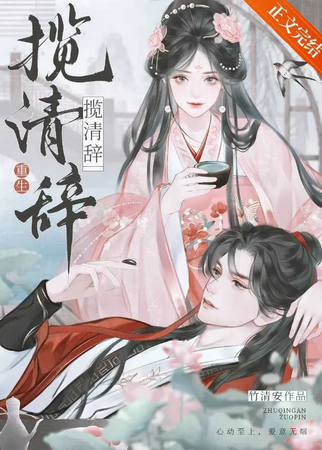 《揽清辞(重生)》小说封面