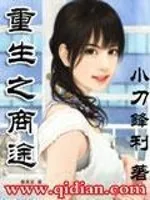 《重生之商途》封面