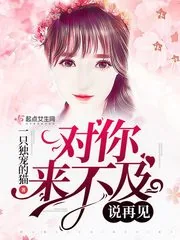 《对你来不及说再见》封面