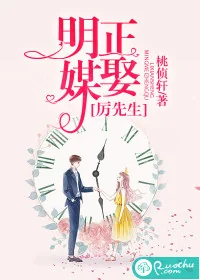 《明媒正娶厉先生》封面