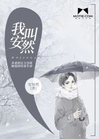 《我叫安然》封面