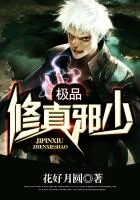 《极品修真邪少》封面