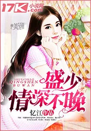 《盛少，情深不晚》封面