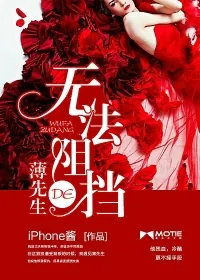 《无法阻挡的薄先生》封面