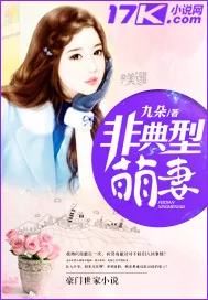 《非典型萌妻》封面
