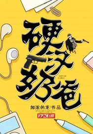 《硬汉奶爸》封面