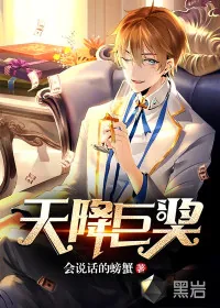 《天降巨奖》封面
