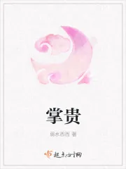 《掌贵》封面
