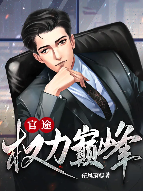 《官途：权力巅峰》小说封面