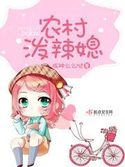 《农村泼辣媳》封面