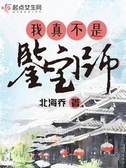 《我真不是鉴宝师！》封面