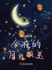 《今夜的月色真美》封面
