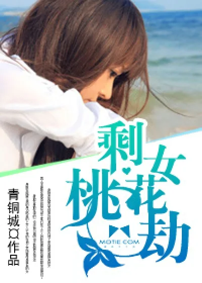 《剩女桃花劫》封面