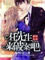 《娇萌鬼妻：任先生来破案吧》封面