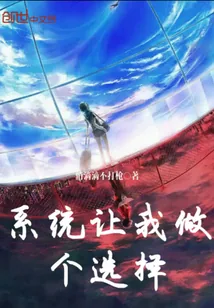 《系统让我做个选择》封面