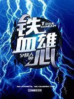《铁血雄心》封面