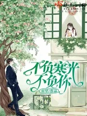 《不负寒光不负你》封面