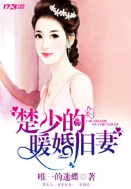 《楚少的暖婚旧妻》封面