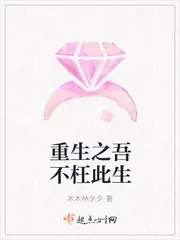 《重生之吾不枉此生》封面