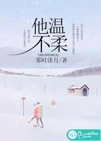 《他不温柔》封面