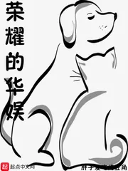 《荣耀的华娱》封面