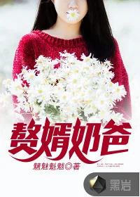 《赘婿奶爸》封面