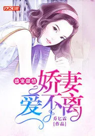 《盛宠甜情：娇妻爱不离》封面