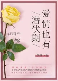《爱情也有潜伏期》封面