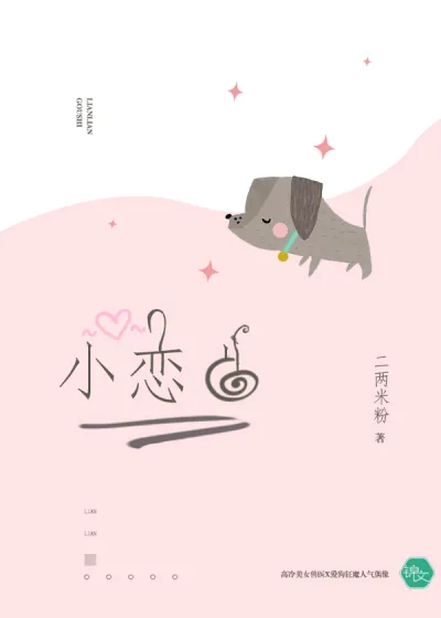 《小恋曲》小说封面