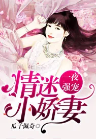 《一夜强宠：情迷小娇妻》封面