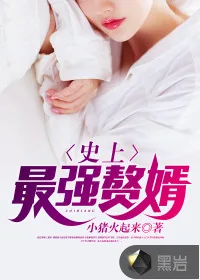 《史上最强赘婿》封面