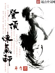 《登顶炼气师》封面