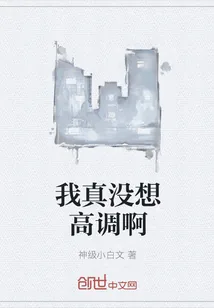 《我真没想高调啊》封面