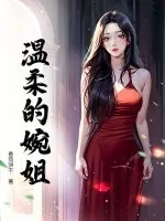 《温柔的婉姐》小说封面