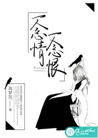 《一念恨一念情》封面