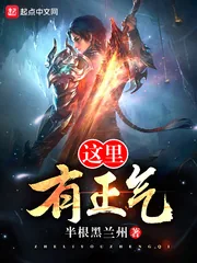 《这里有正气》封面
