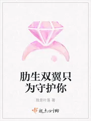 《肋生双翼只为守护你》封面