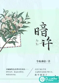 《暗许》封面