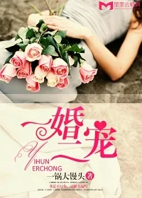 《一婚二宠》封面