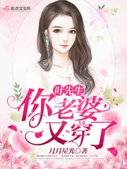《叶先生，你老婆又穿了》封面