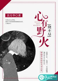 《心有野火烧不尽》封面