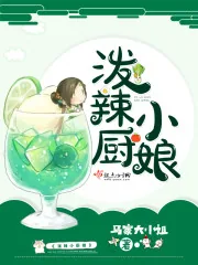 《泼辣小厨娘》封面