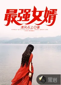 《最强女婿》封面