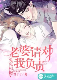 《冤冤相抱：老婆请对我负责》封面