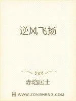 《逆风飞扬》封面