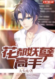 《花都妖孽高手》封面
